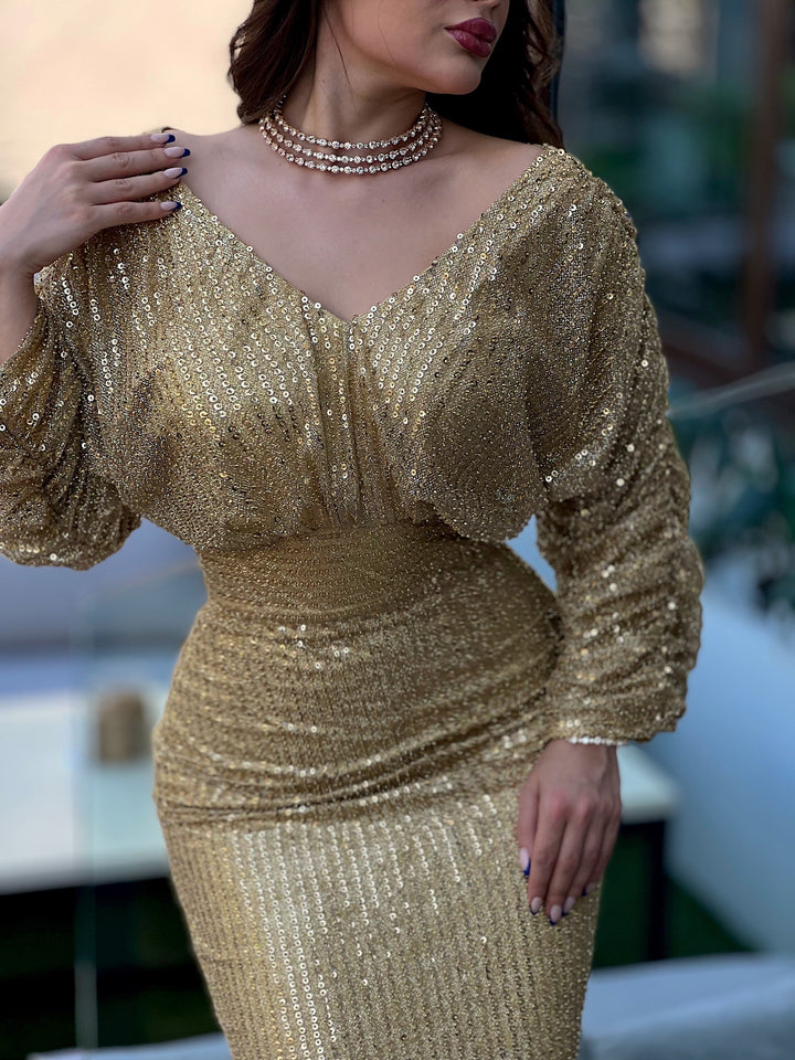 AMIRA